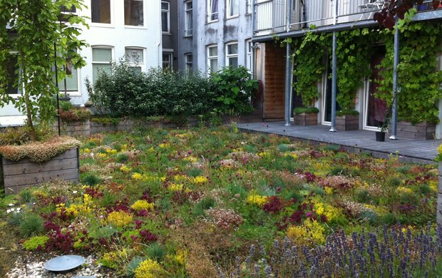 Groen dak met verschillende groentinten